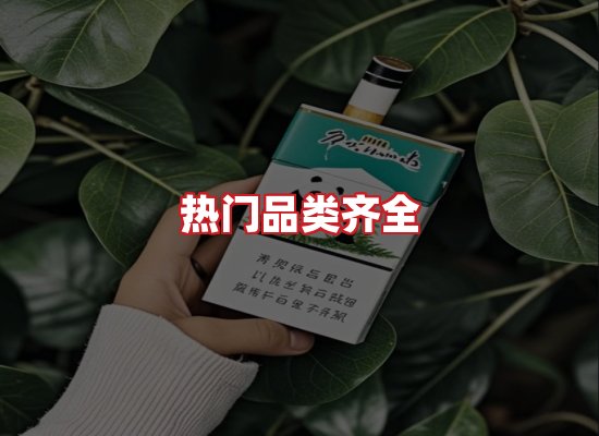 专业团队